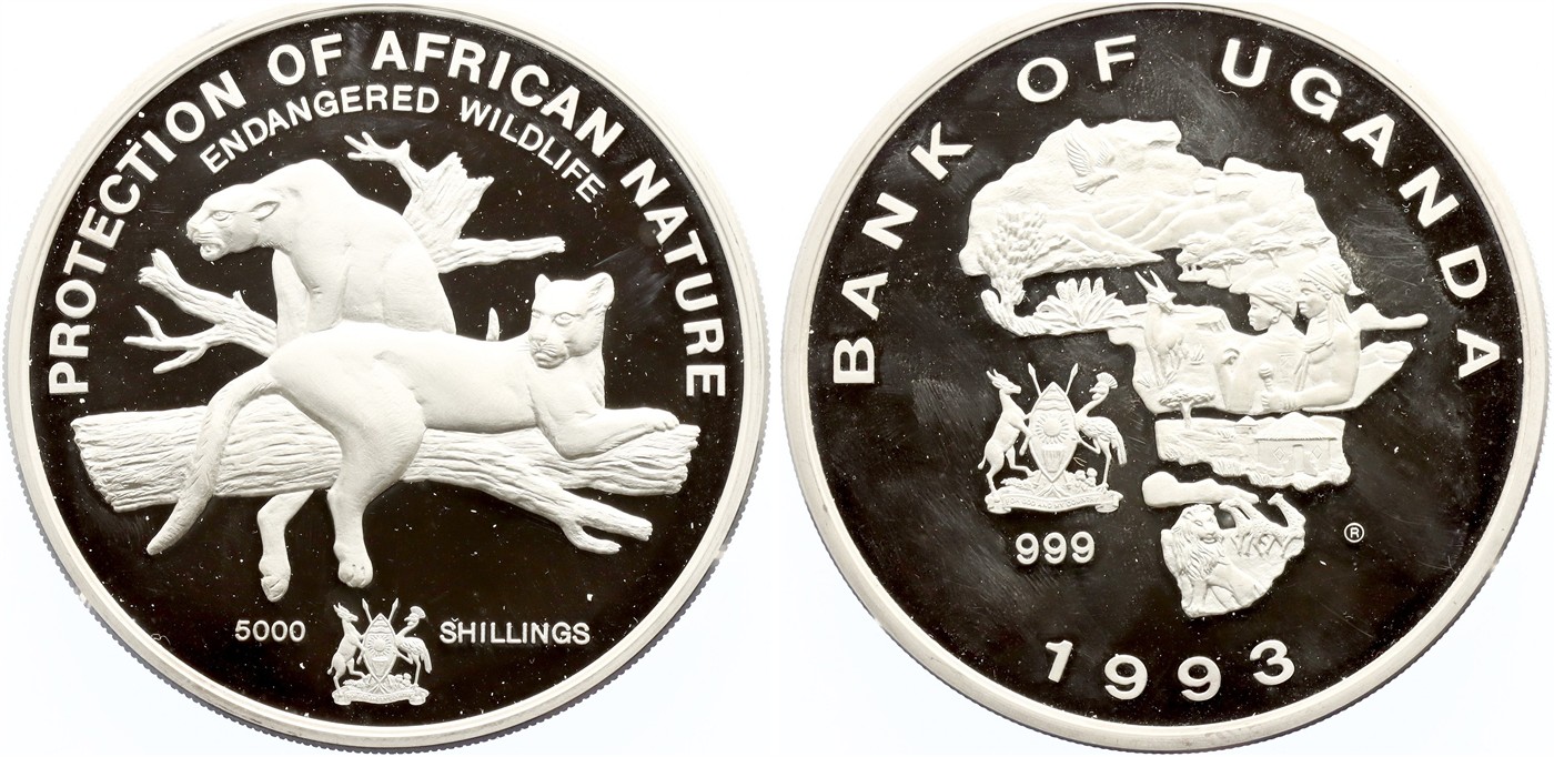 $Abbildung zu Los 371$