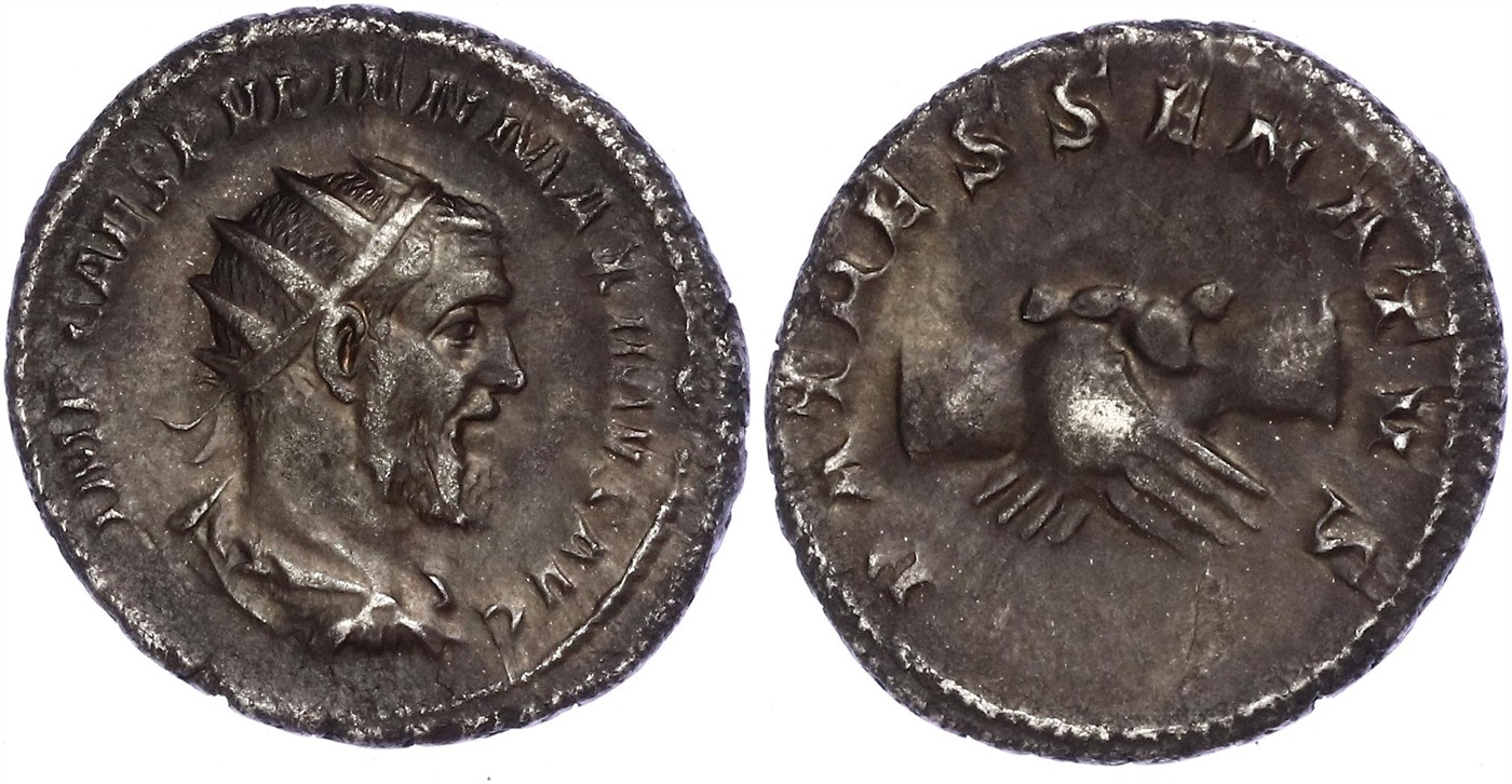 $Abbildung zu Los 18$